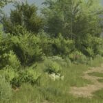 BUSH TEXTURE [DECOBUSH] V1.0