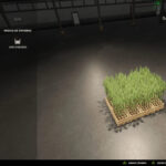 Tree Sapling V1.0